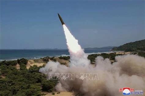 south seas cargo tagbilaran|Suspected North Korean Hypersonic Missile Exploded in Flight, .